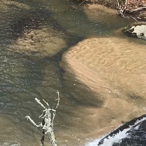 Meet your Posher, Luke